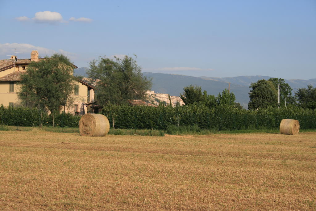 Maison d'hôtes Residenza Isabella à Spello Extérieur photo